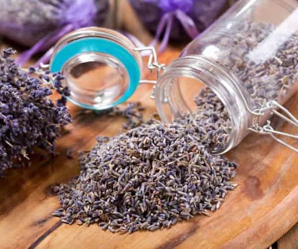 فروش اسطوخودوس خشک شده + قیمت خرید به صرفه